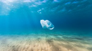 Big Brands Call For Global Pact To Cut Plastic Production