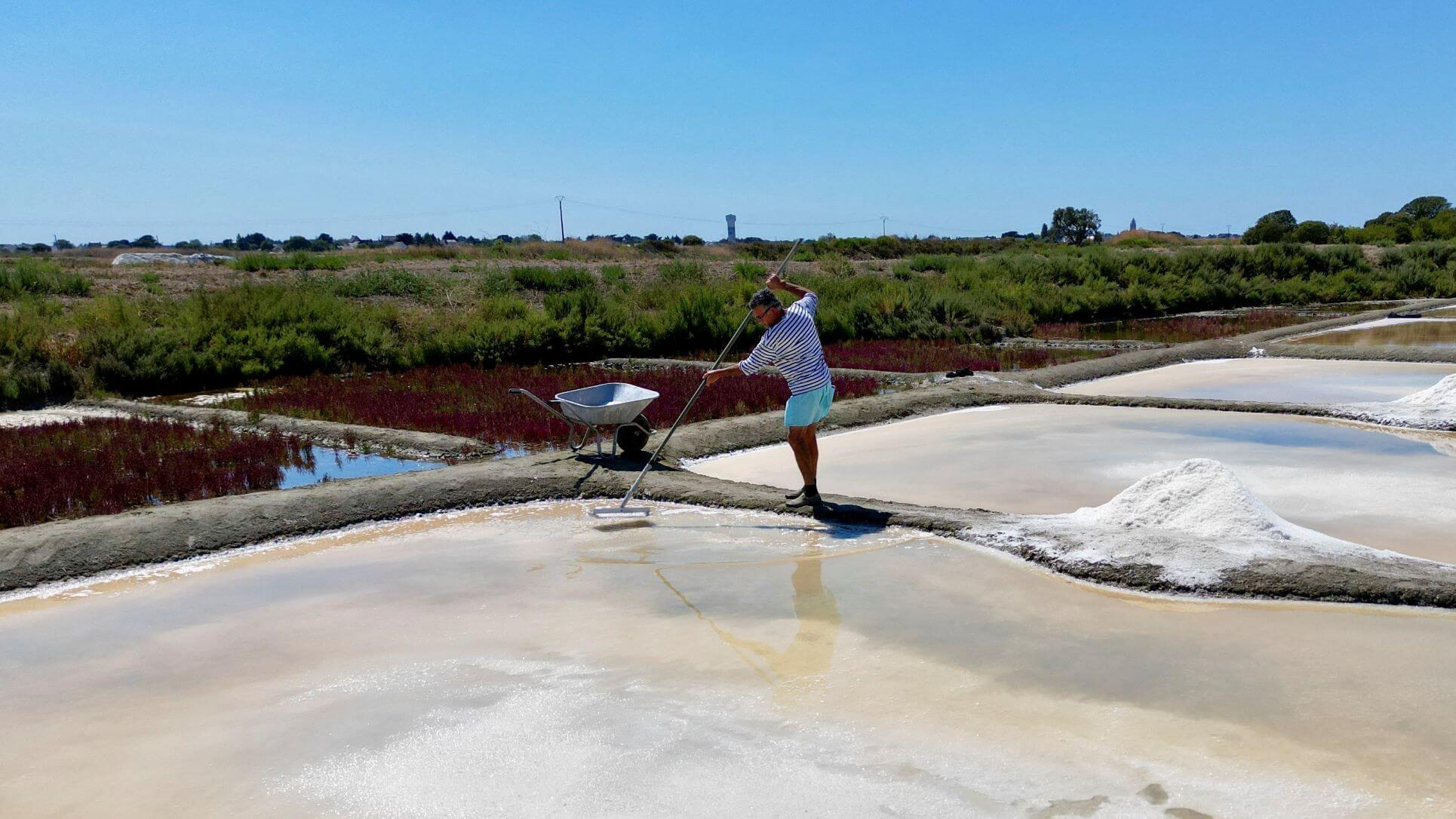 The Unwitting Winners Of France's Drought: Salt Farmers