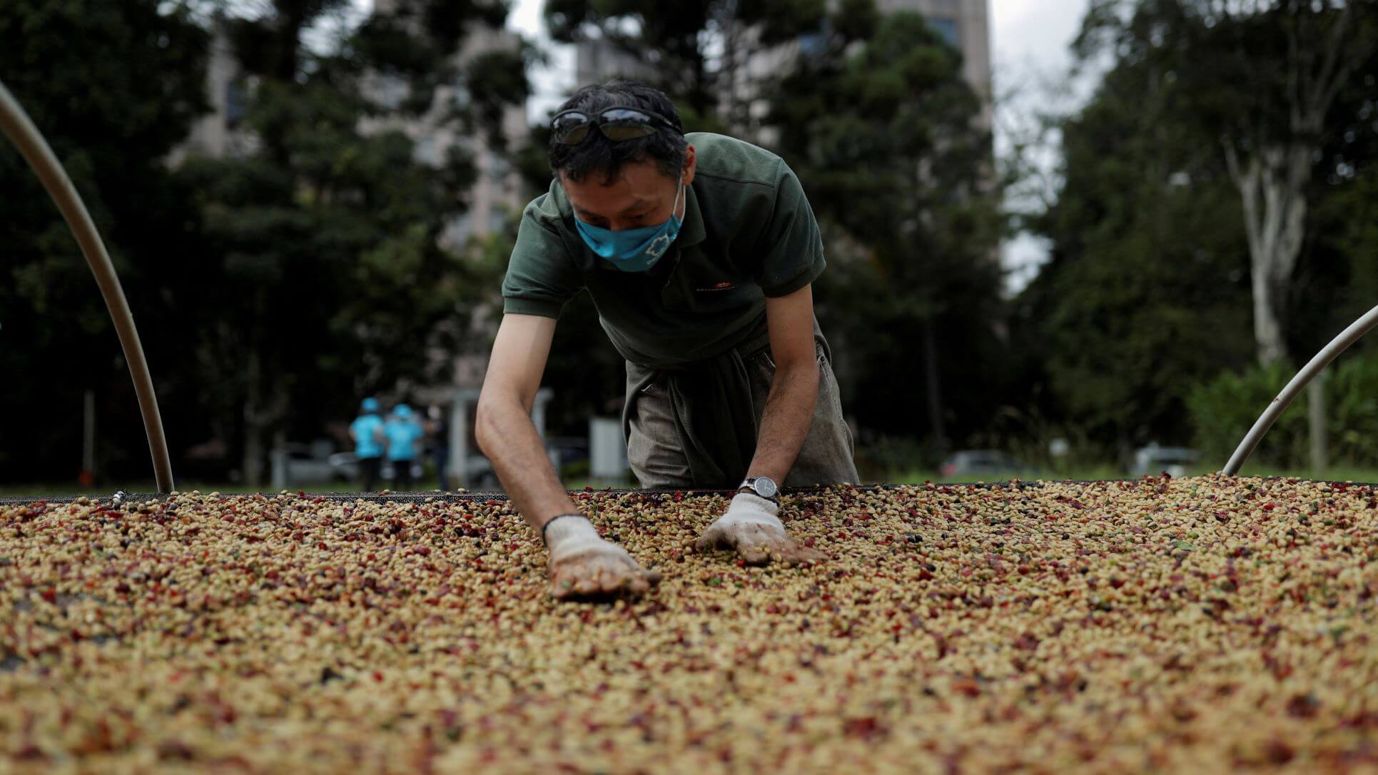 Global Coffee Market Favoring Higher Quality, Not Higher Volumes