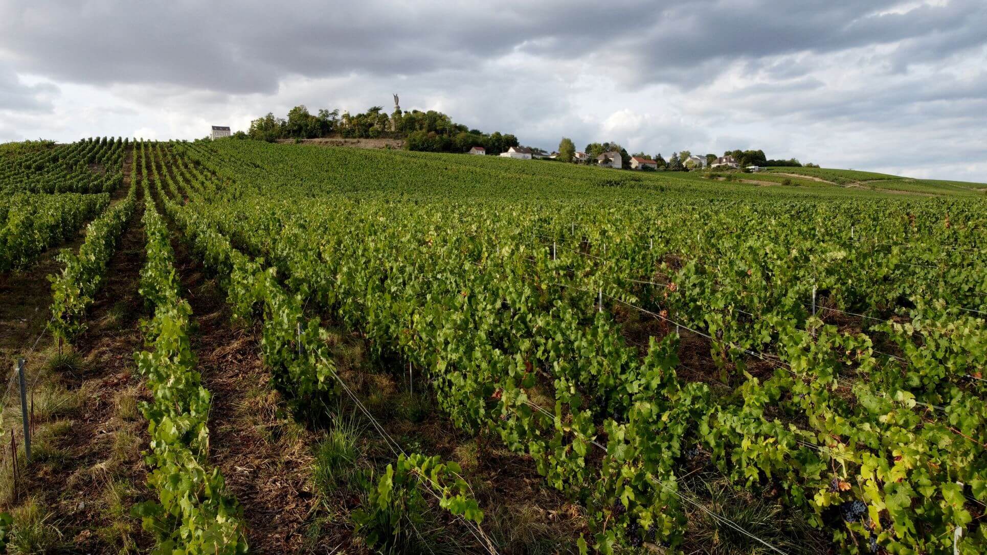 Inflation Drives French Wine And Spirits Exports To New High In 2022