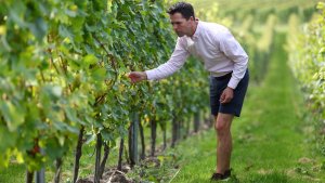 UK Wine Producer Chapel Down Could Be Sold As Funding Review Launched